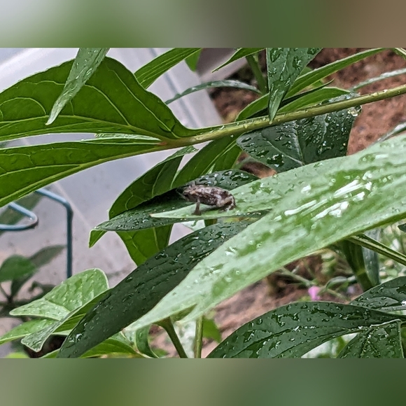 Meet your Posher, Katherine - Picture 8 of 15